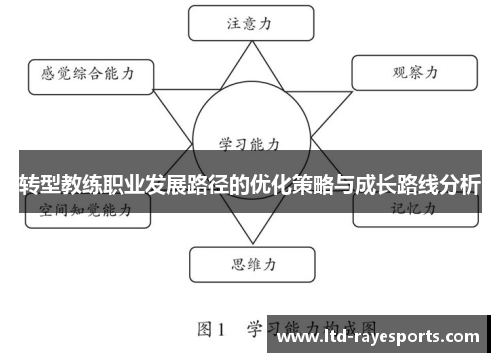 转型教练职业发展路径的优化策略与成长路线分析