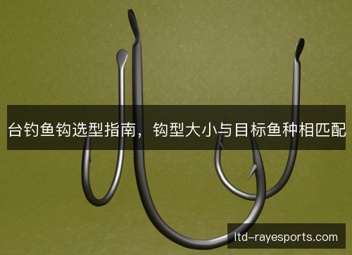 台钓鱼钩选型指南，钩型大小与目标鱼种相匹配